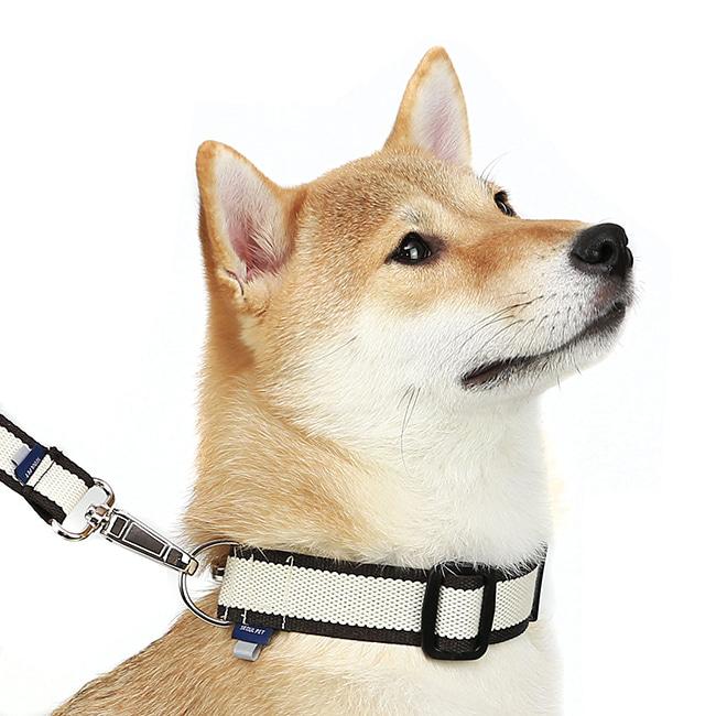 SIDE-STRIPE SET [BROWN]