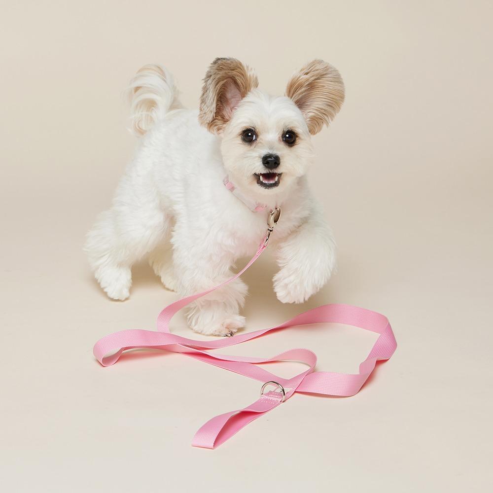 Blush Set / 목줄 + 리드줄