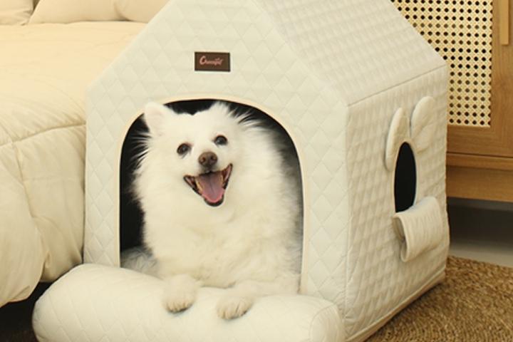 사계절 항균 강아지집 에브리데이하우스3.0(3colors)