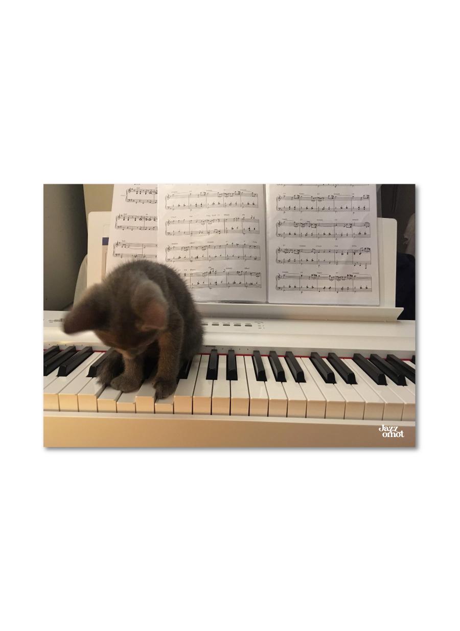 Pianist Poster(A2)