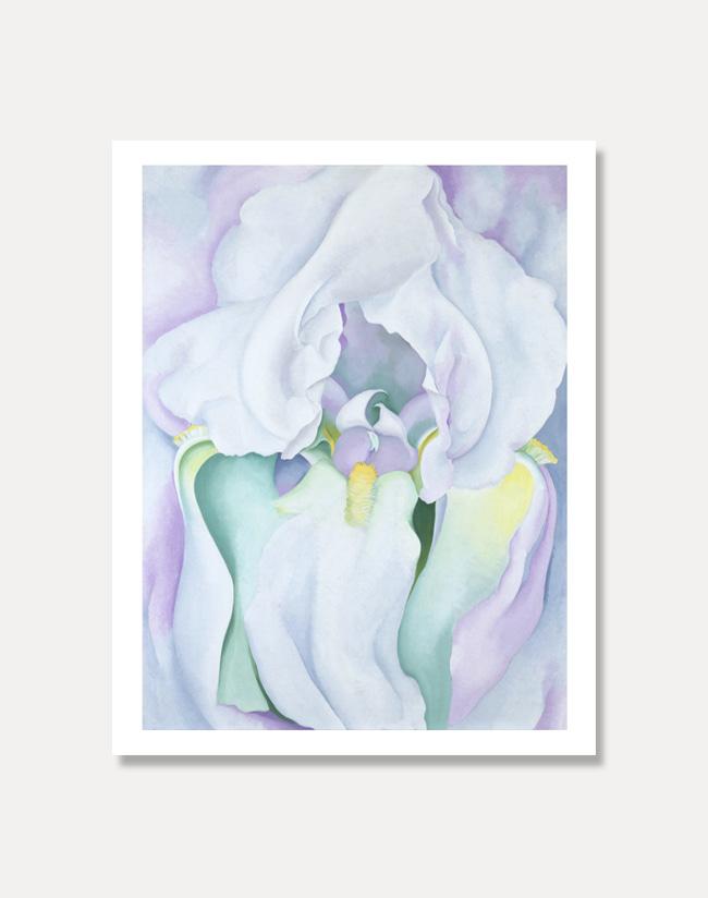 [조지아 오키프]WHITE IRIS40.5 x 51 cm주문 후 3주소요
