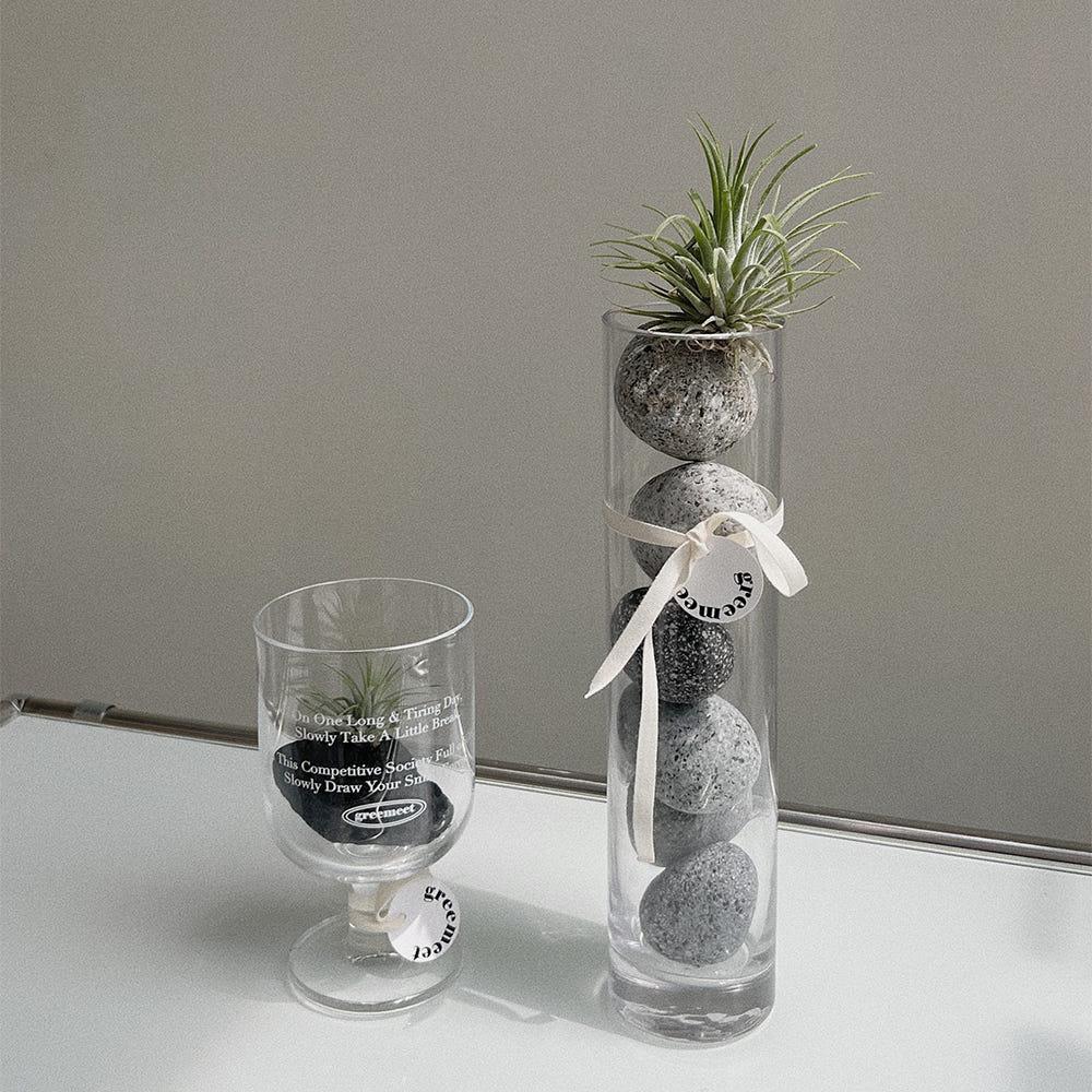 그리밋 틸란 틸란시아 틸란드시아이오난사 에그스톤 행잉플랜트 플랜테리어 먼지먹는 식물 집들이선물