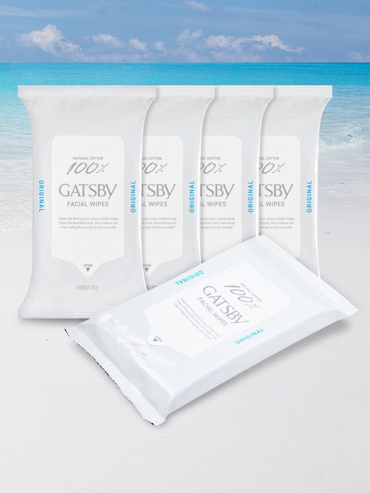 갸스비 훼이셜 페이퍼 쿨 타입 15매 5개