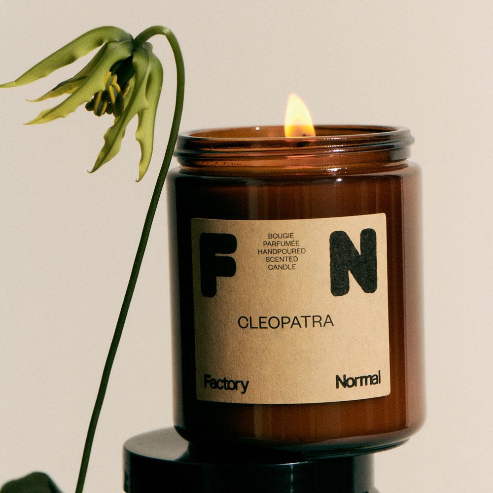 팩토리노멀 갈색병 소이캔들 대형 / 캔들 인테리어 소품, vanilla ga..., 1개