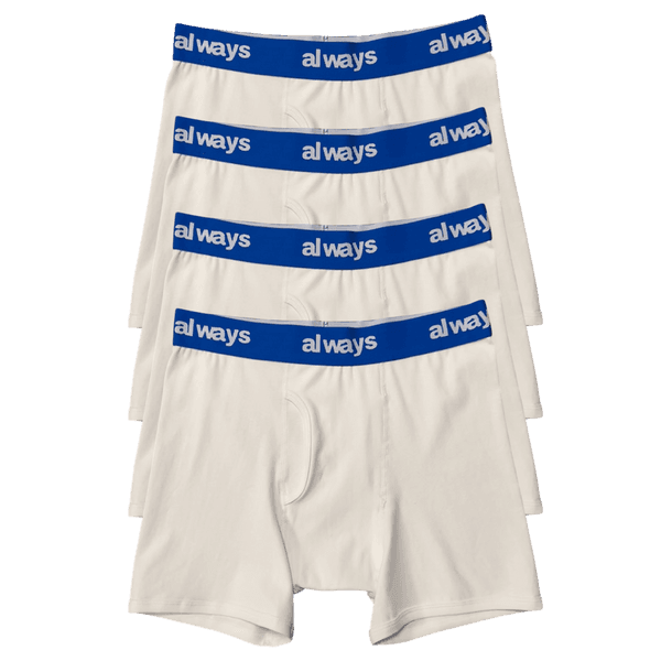 4pack cozy cotton briefs - blue band