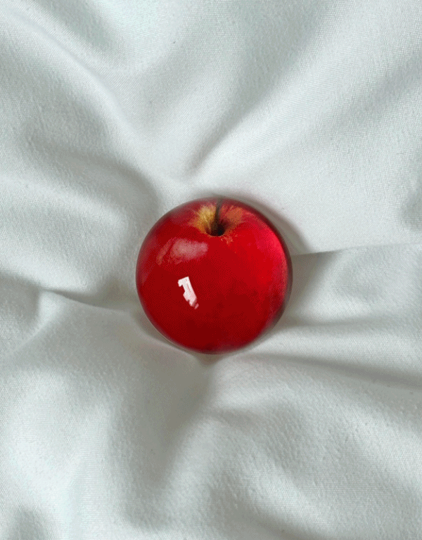 여름휴가동안 정상 배송 | richest apple griptok | 투명 반구 사과 그립 톡 핸드폰 아크릴 스마트톡