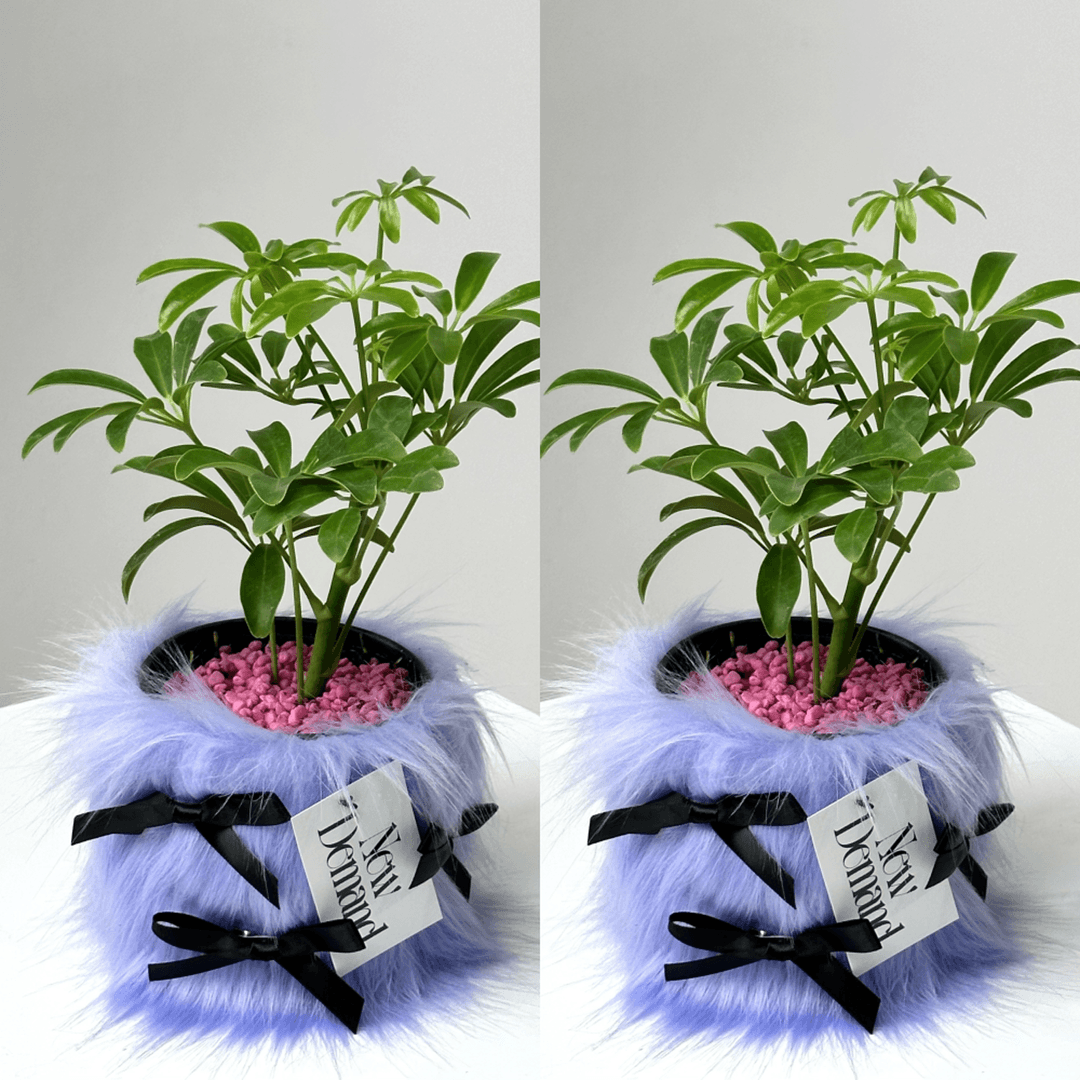 FLOWERPOT FUR (light purple)