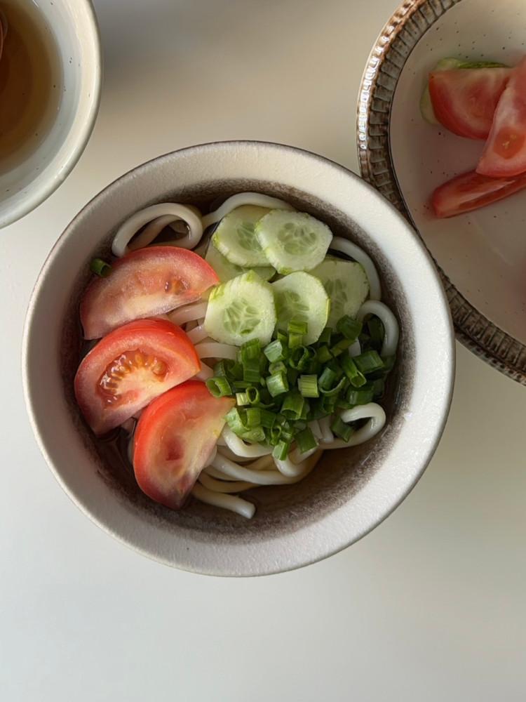 일본 브라운 우동기 라면기 냉우동 덮밥그릇