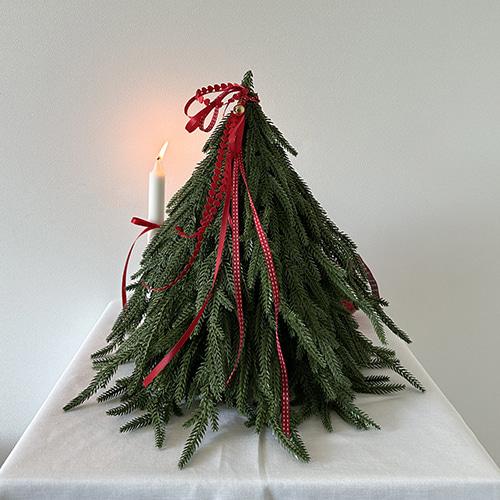 NEW 런칭 OPEN  * MADE IN KOREA * 레드 더티트리24일부터 순차 발송주문폭주로인한 생산지연중