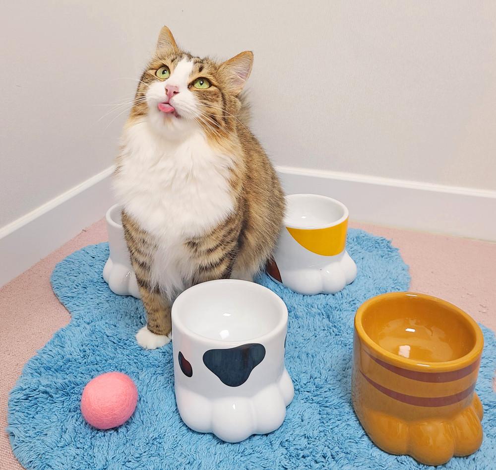 [오늘출발] 강아지 고양이 길고양이 밥그릇 물그릇 도자기 수반 식기 매트