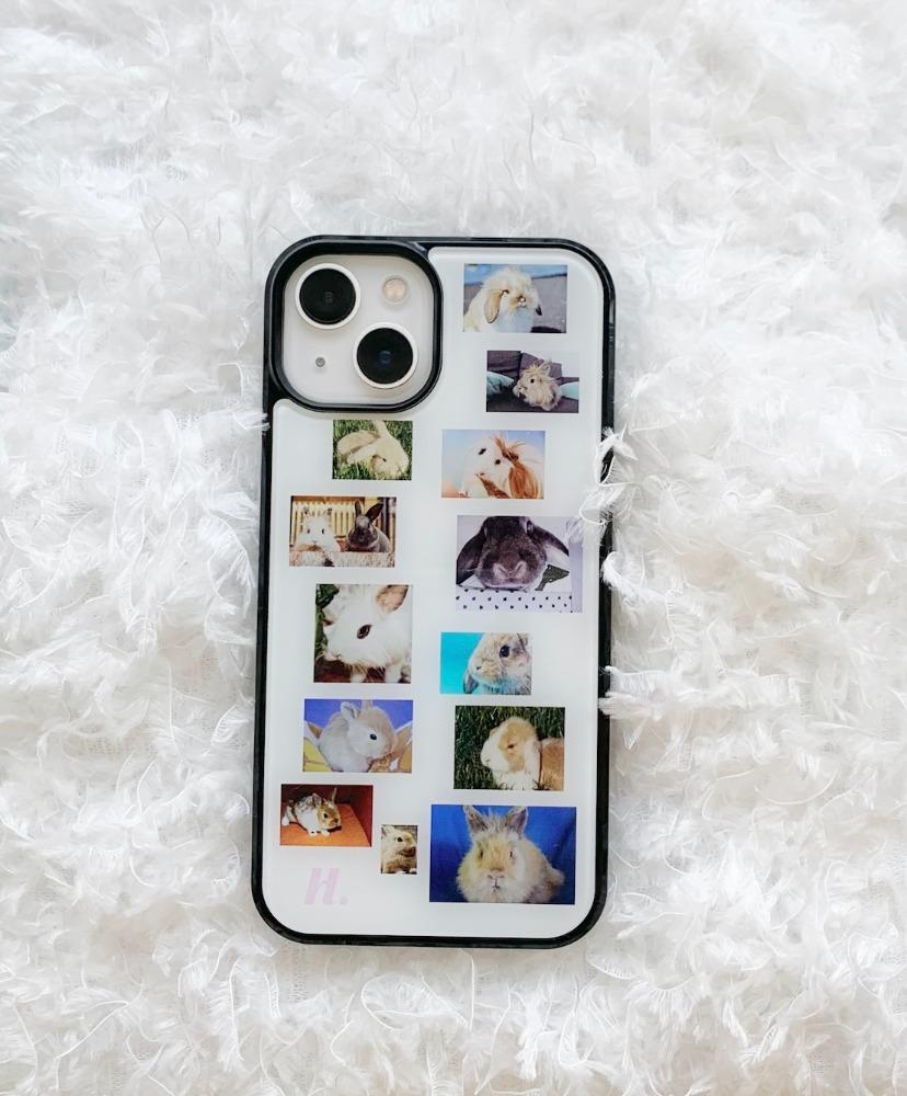 bunnys case