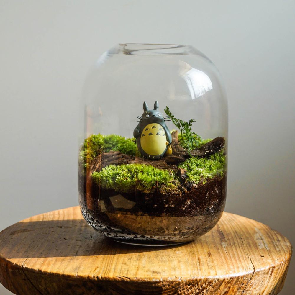 풀레뜨 이끼 테라리움 DIY 만들기 키트 E 플랜테리어