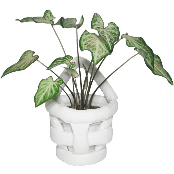 padded plant basket