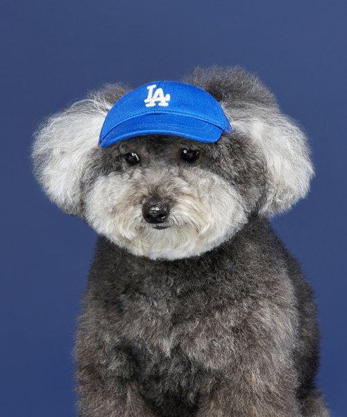 PET 루키 볼캡 LA (BLUE)