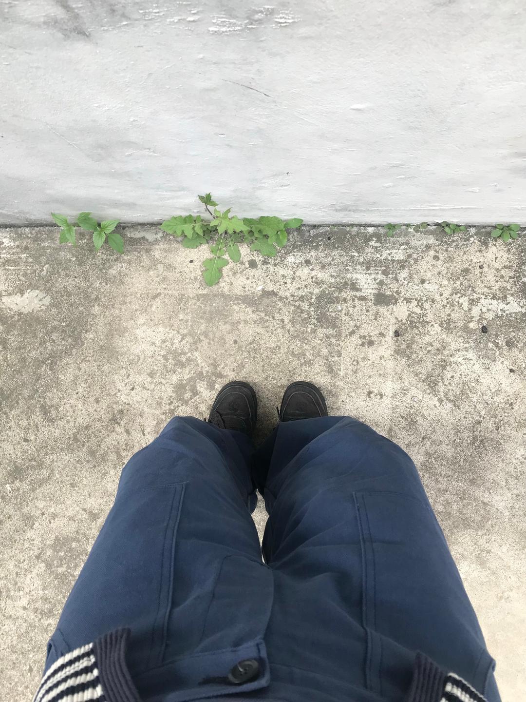 (unisex) color dart pants