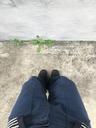 (unisex) color dart pants