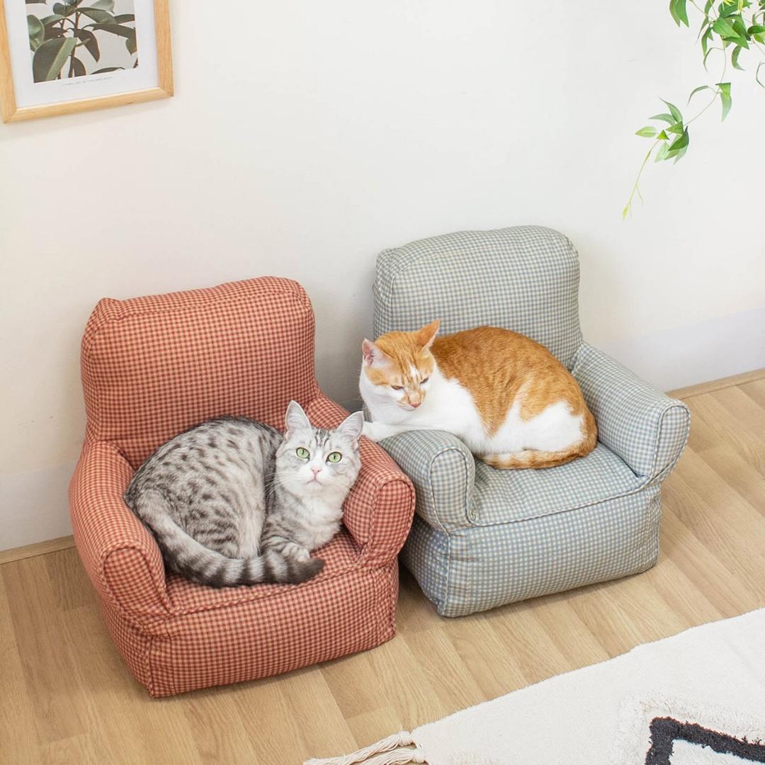 레트로 고양이 소파