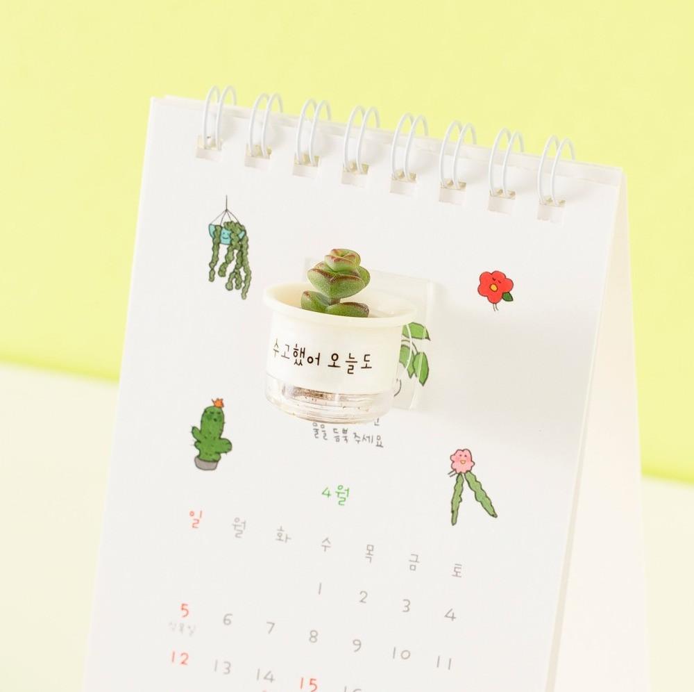 마음화분