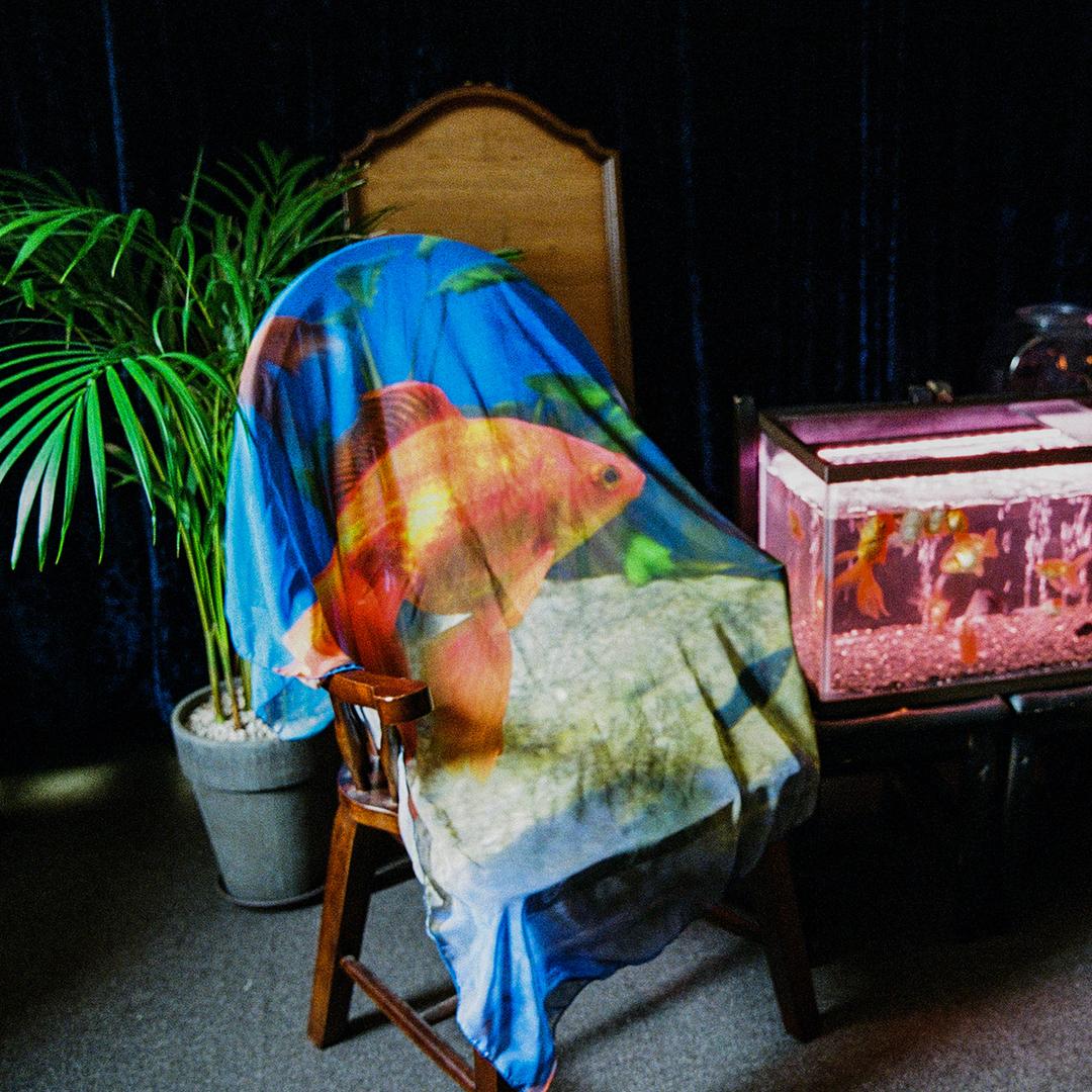 쉬폰 패브릭 포스터 (금붕어)