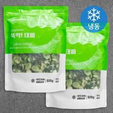친정엄마꾸러미 뚝딱! 대파 (냉동)