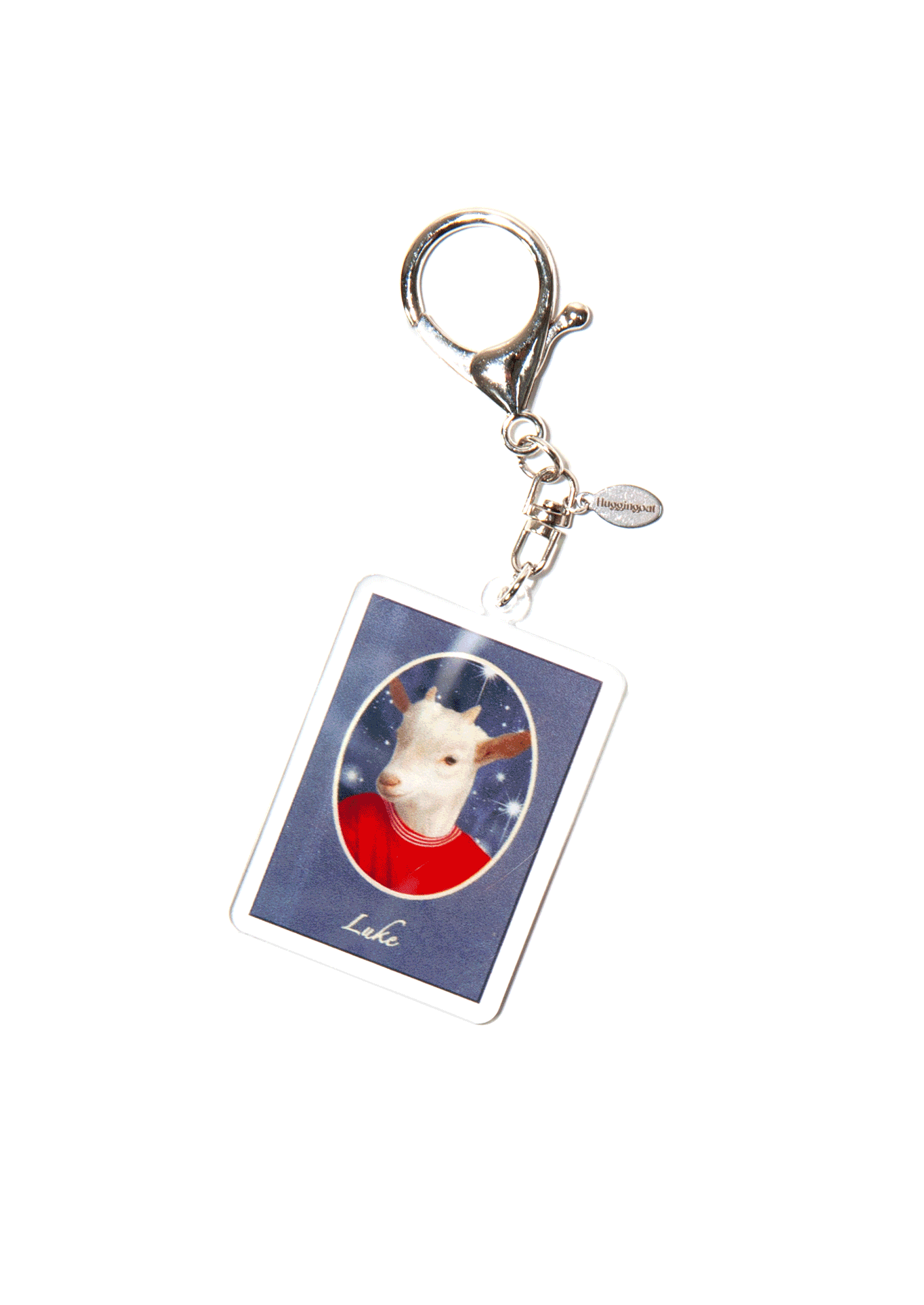 ANIMAL ID KEY RING