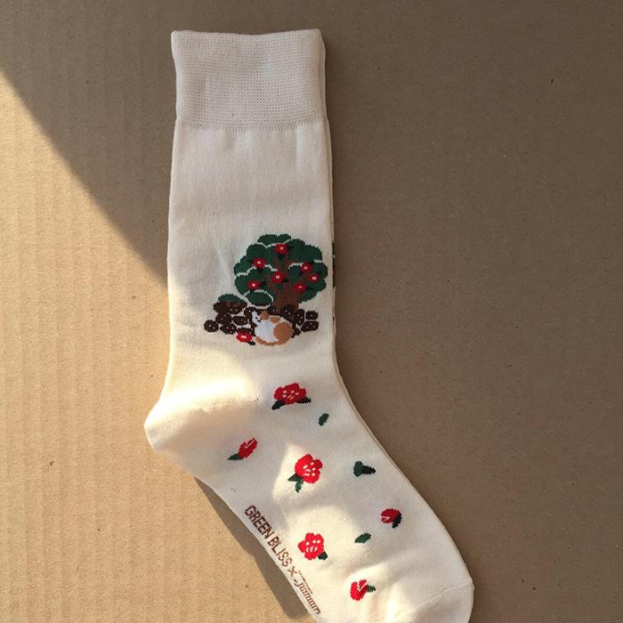 위미리 동백고양이