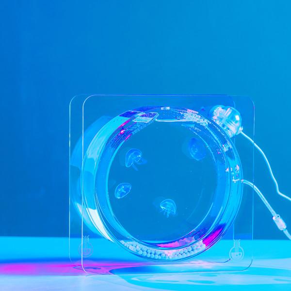 해파리 키우기 세트 JELLO4