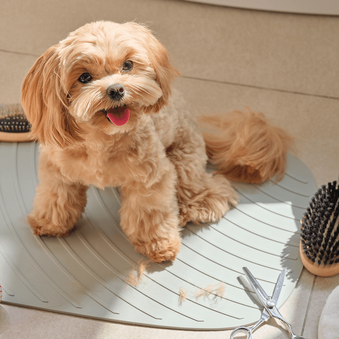 핏펫 헤이테일 논슬립 목욕 매트