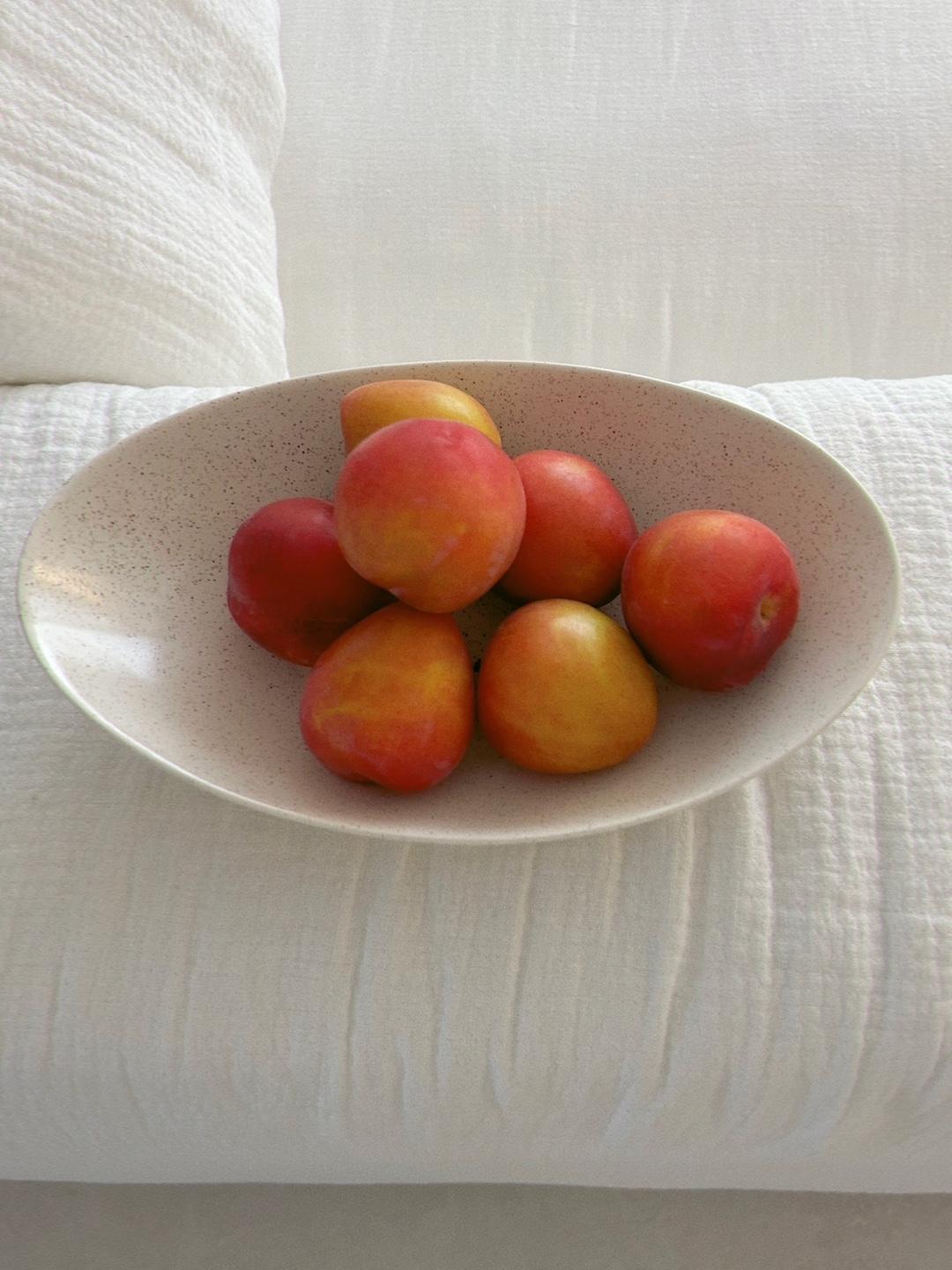 MOI) half moon plate - 3 color