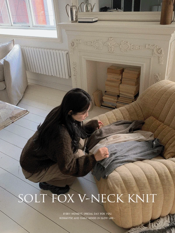 [moi,et / 당일 출고] 솔트 폭스 브이넥니트