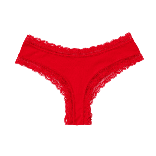 Minimal Lace Cheeky Panty Red
