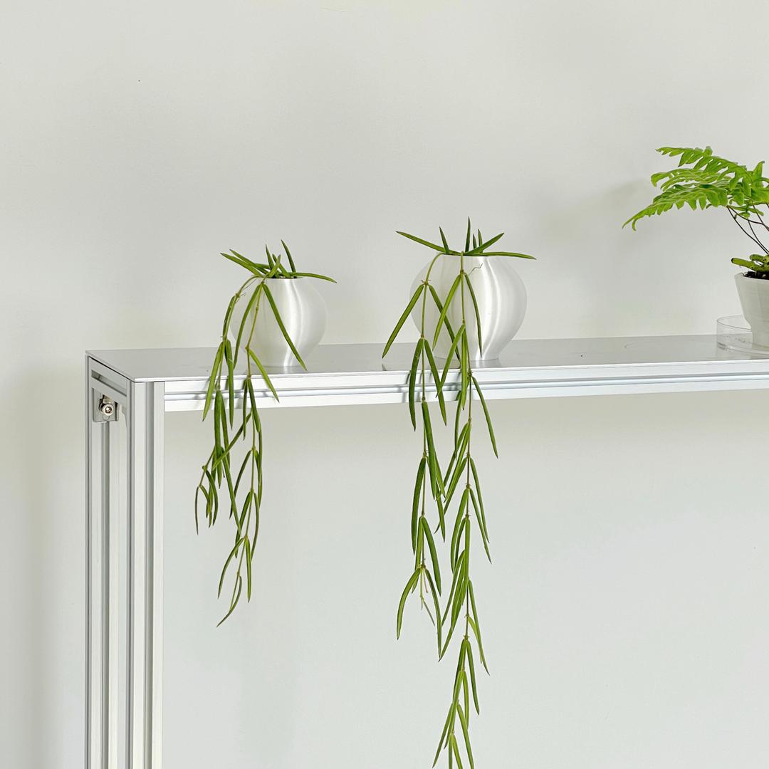 Phylliroe pot 84 - pearl