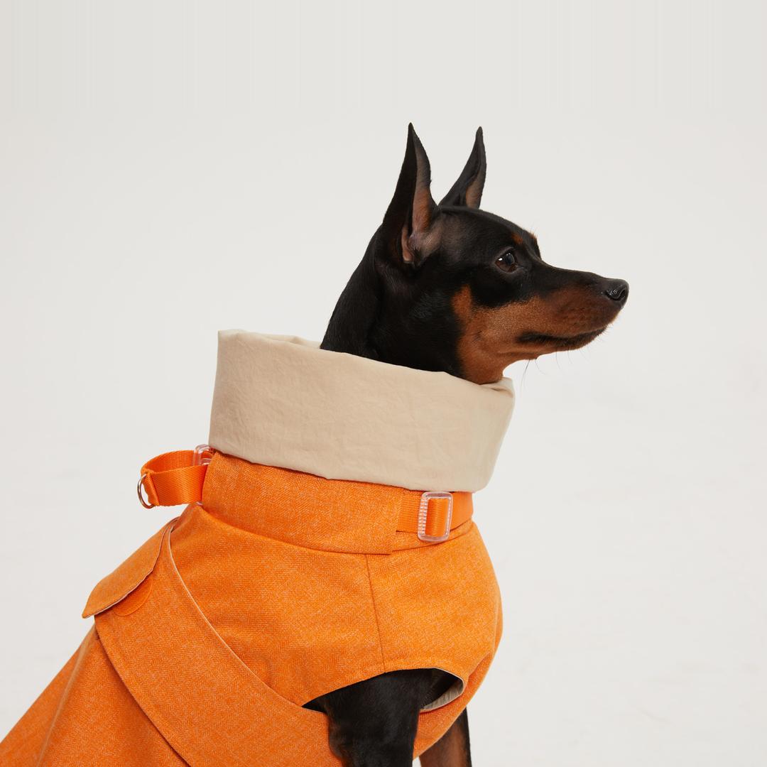 강아지 트렌치 레인코트 Di Marco - 브레라 오렌지