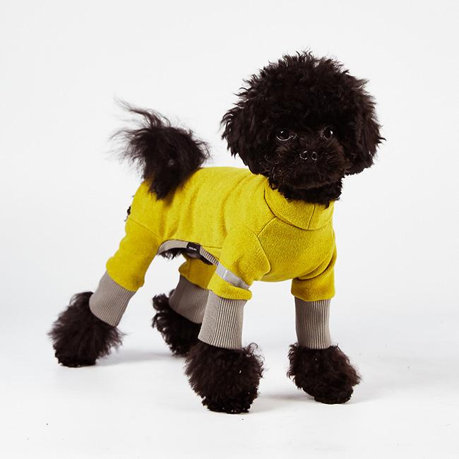 BASIC ALL-IN-ONE [MUSTARD]