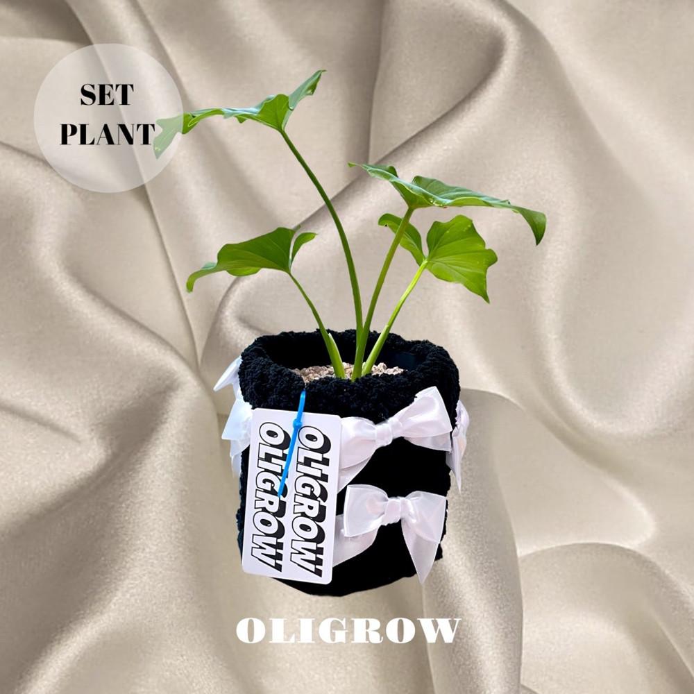 (Handmade 제작/3가지 사이즈) 리본팟  PPPOT2 퍼피팟2 니팅화분 식물식재 가능