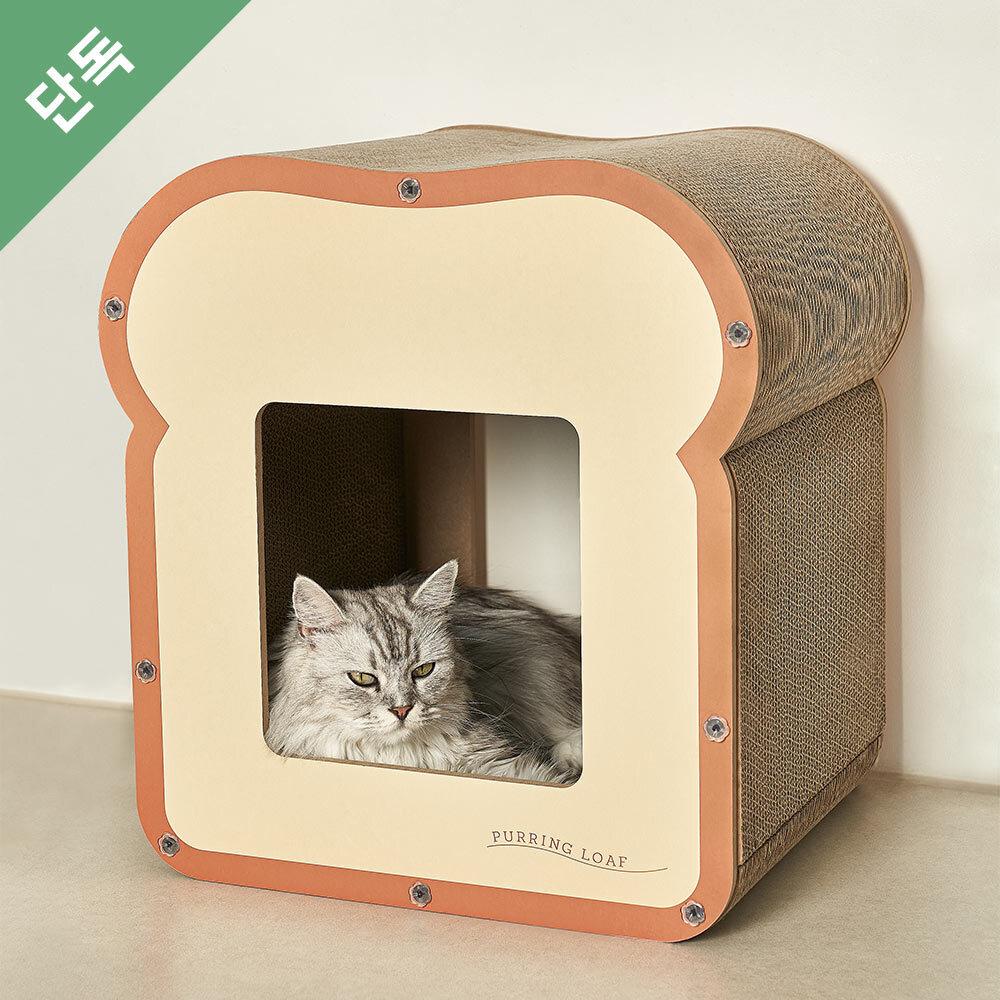 브레디 스크래쳐 하우스