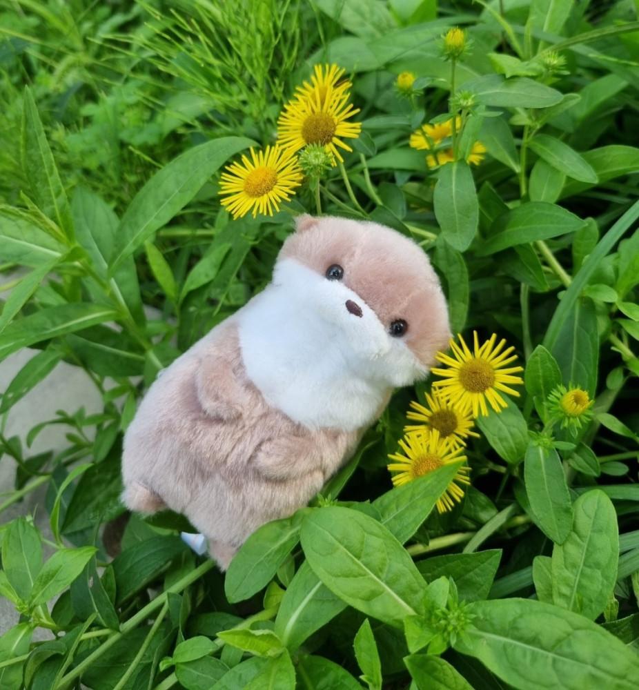 소소해피 어뮤즈 클래식 앙증맞은 수달 인형 수달 키링 애착 동물 인형 AMUSE 고리변경