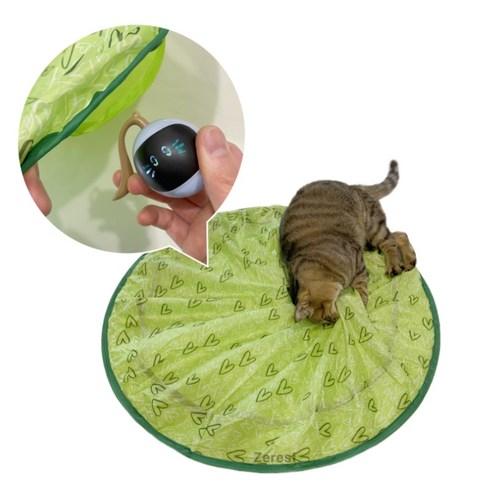 Zeresi 고양이장난감 고양이자동장난감 USB충전 자동 고양이공, 블루 캣볼 + 사냥..., 블루 캣볼 + 사냥..., 1개 - 자동장난감 | 쿠팡