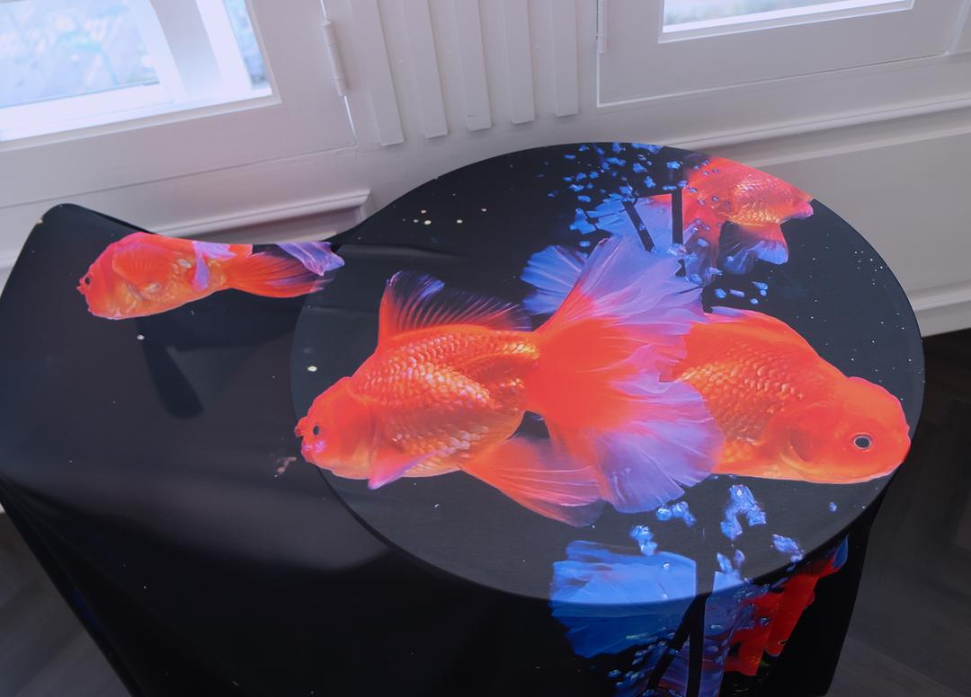 쉬폰 패브릭 포스터 / 금붕어 (대형)