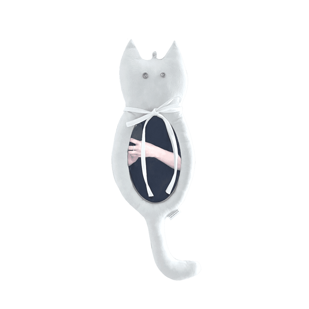cat cushion mirror