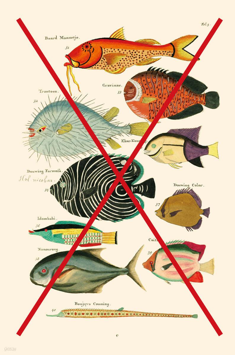 [예스리커버] 물고기는 존재하지 않는다 - 예스24