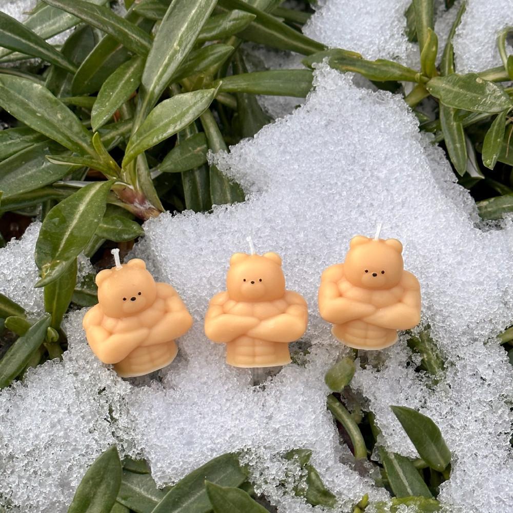 헬스곰 초 다이어트 바디프로필 생일 선물 기념일 파티 운동