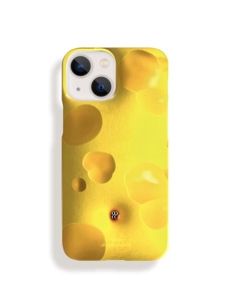 Cheddar Cheese *HARD CASE