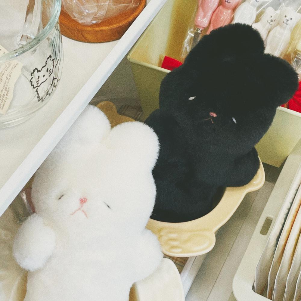 [코지데이지] 만사 귀찮은 토끼씨