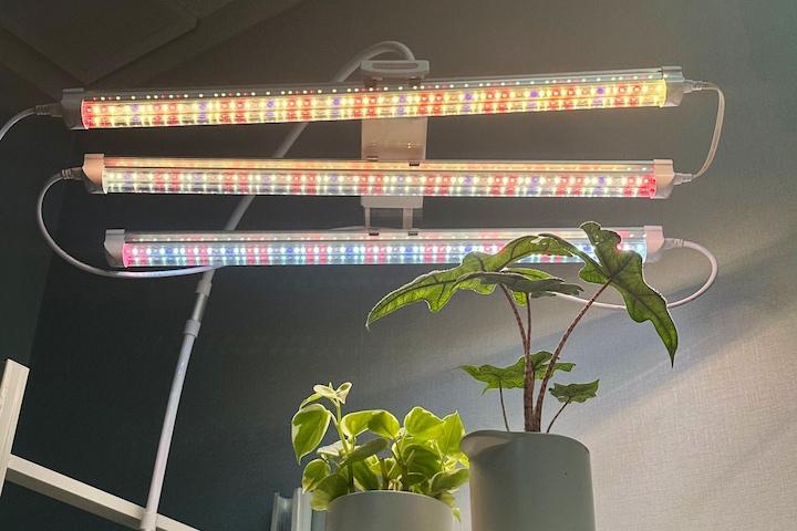 식물등 삼성 50cm 식물성장 LED 제라늄 다육 3가지 색상