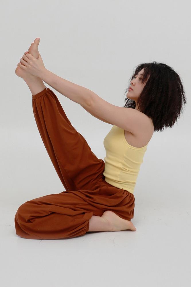 Hast pants [ titian brown ]