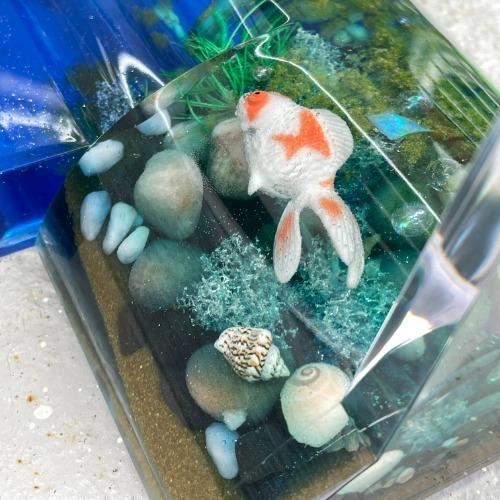 {special}작은 수족관