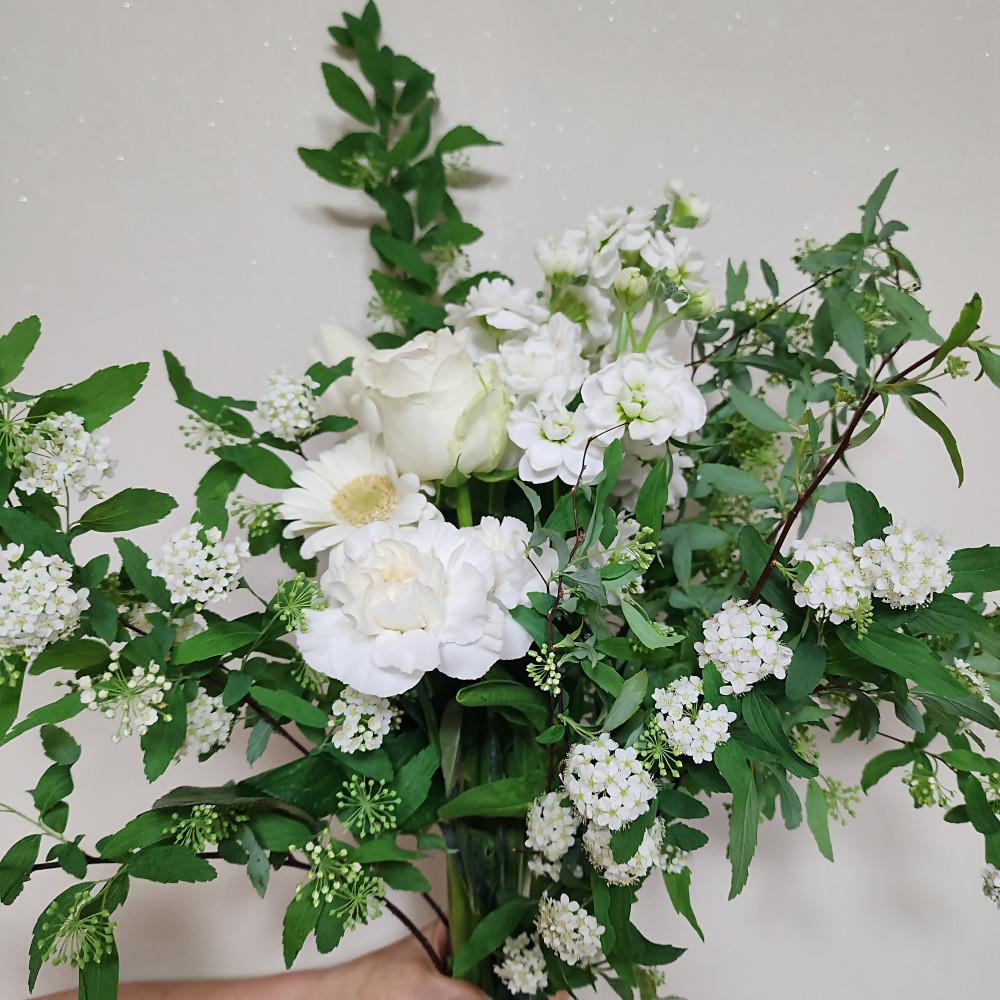 [구독체험]그린티딜라이트 구독체험상품 계절생화 양재꽃시장  꽃배달싼곳 메종드보타닉