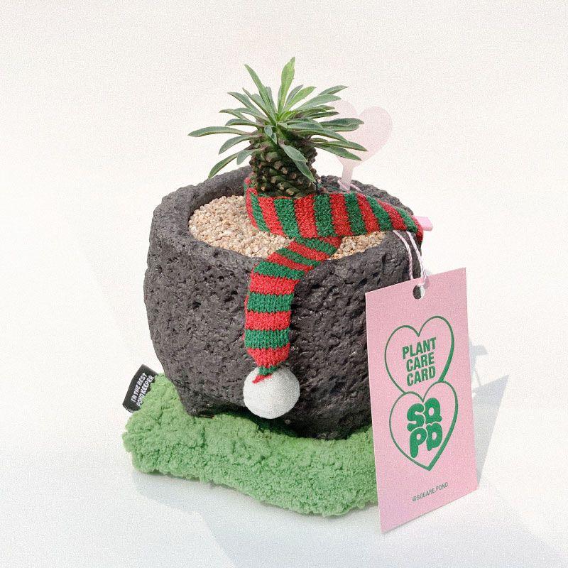 [크리스마스 이벤트] 괴마옥 & 이끼코스터 SET