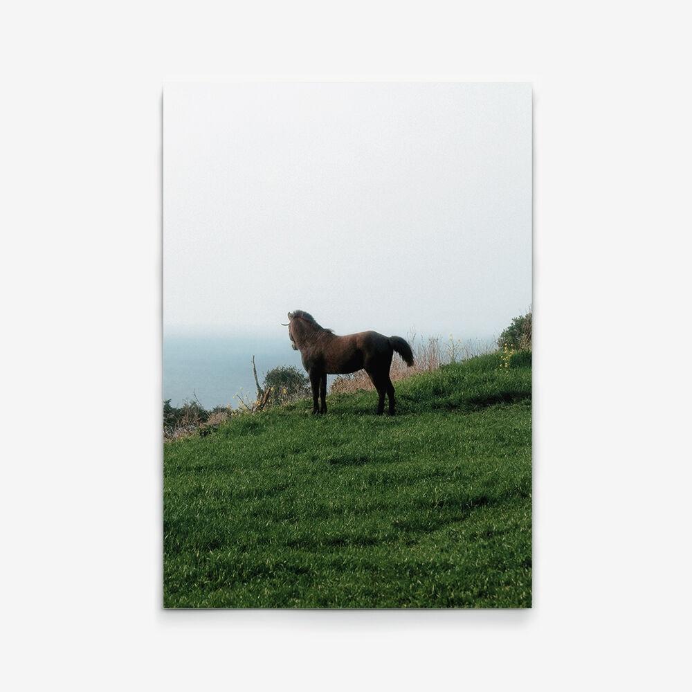 말  - 인테리어포스터 대형 사진 액자